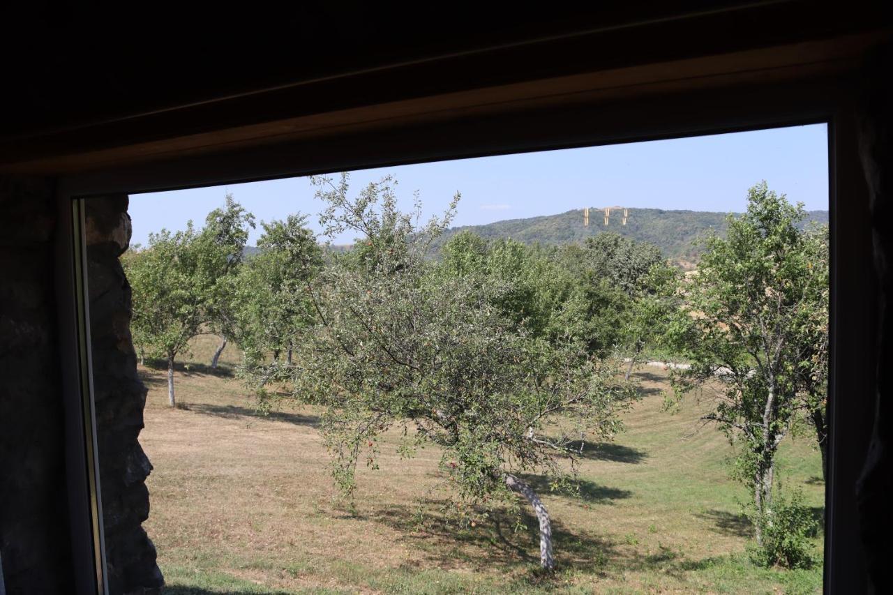 Salas U Bregu In Cheile Carasului Crasova Dış mekan fotoğraf