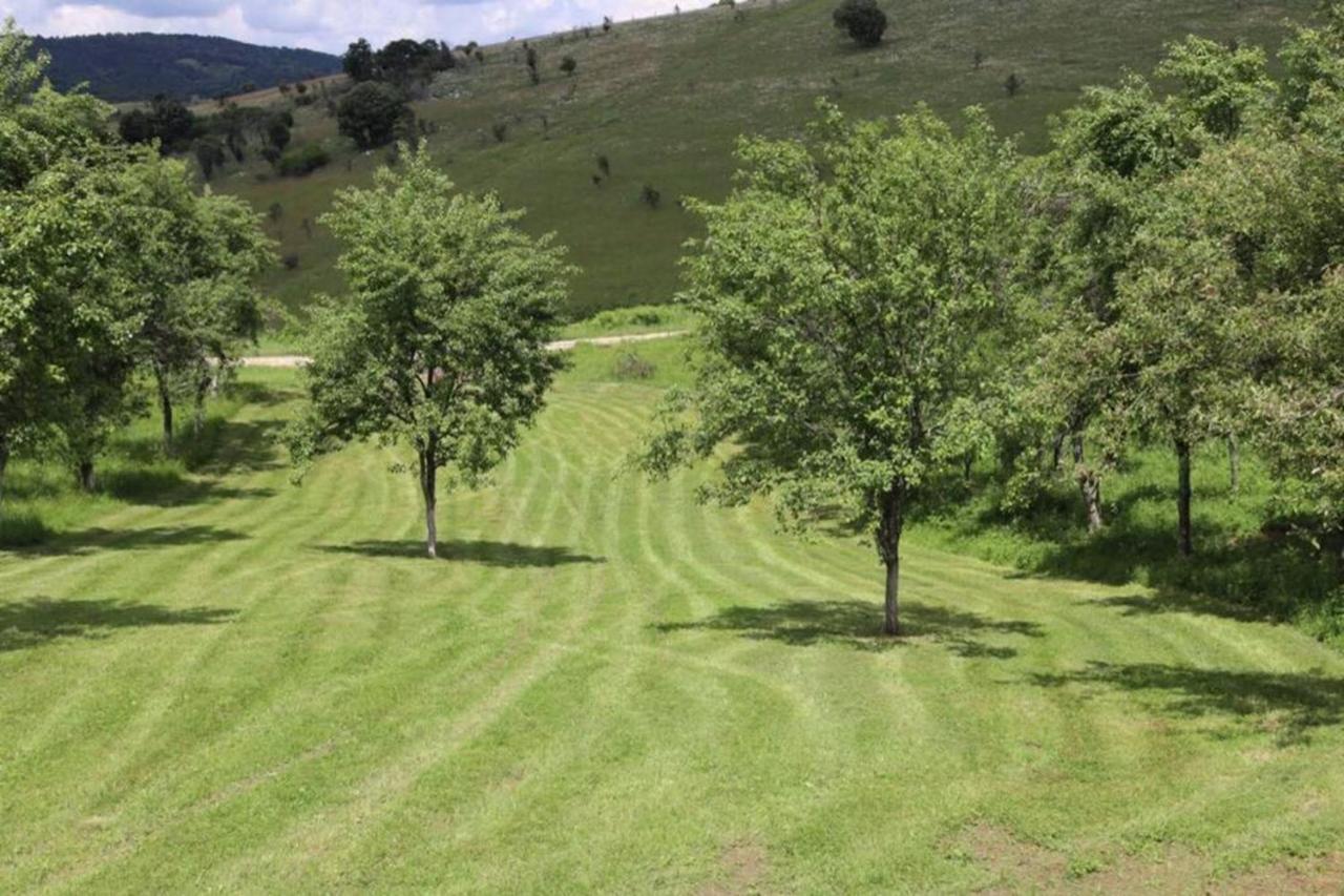 Salas U Bregu In Cheile Carasului Crasova Dış mekan fotoğraf