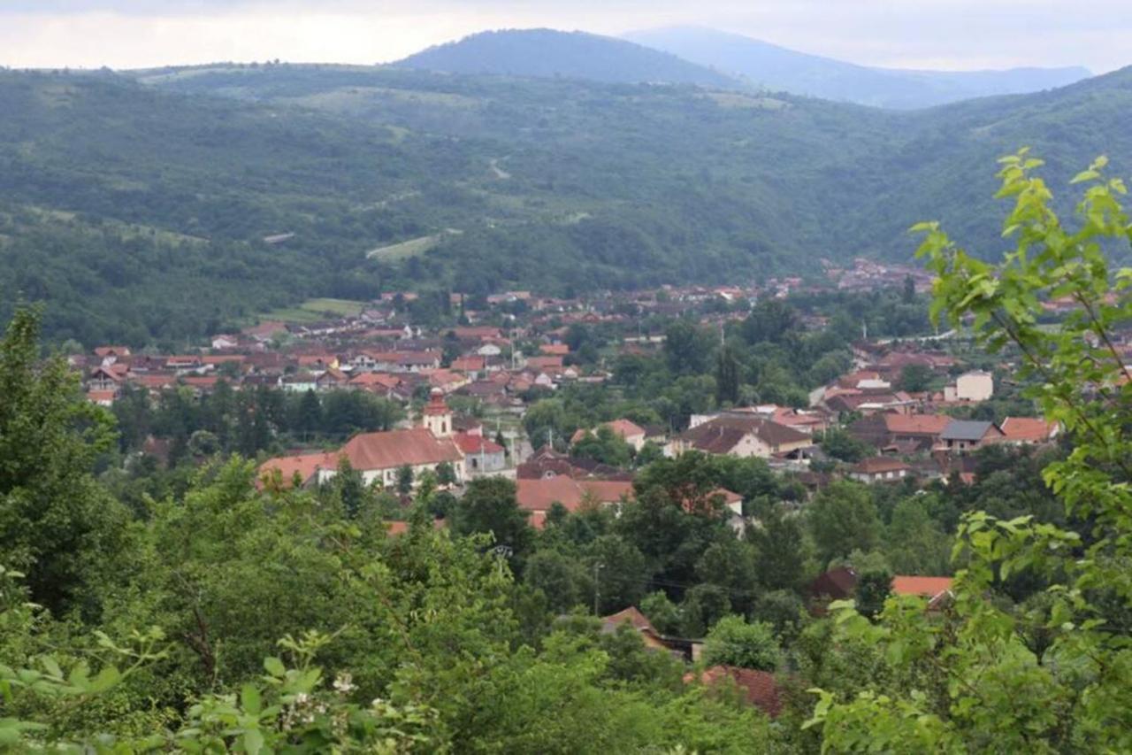 Salas U Bregu In Cheile Carasului Crasova Dış mekan fotoğraf