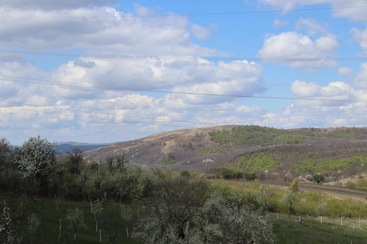 Salas U Bregu In Cheile Carasului Crasova Dış mekan fotoğraf