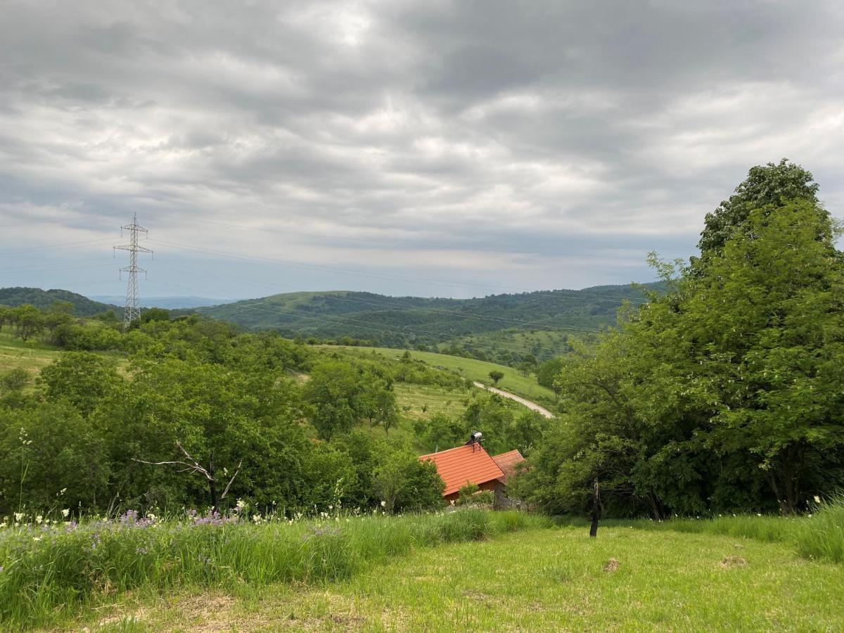 Salas U Bregu In Cheile Carasului Crasova Dış mekan fotoğraf