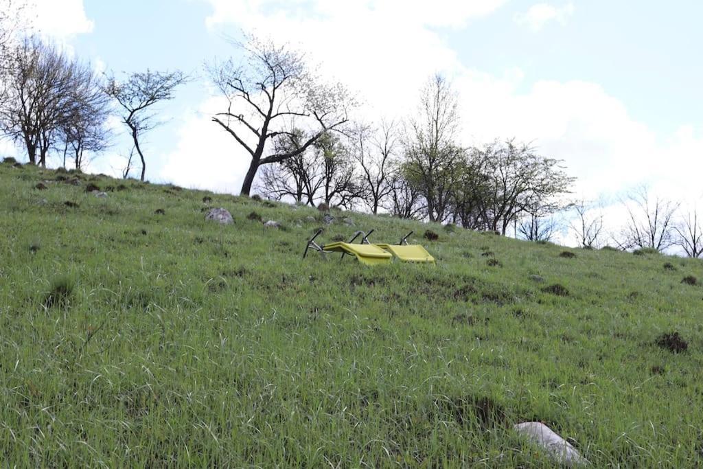 Salas U Bregu In Cheile Carasului Crasova Dış mekan fotoğraf