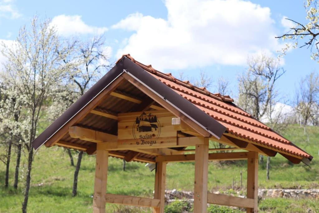 Salas U Bregu In Cheile Carasului Crasova Dış mekan fotoğraf